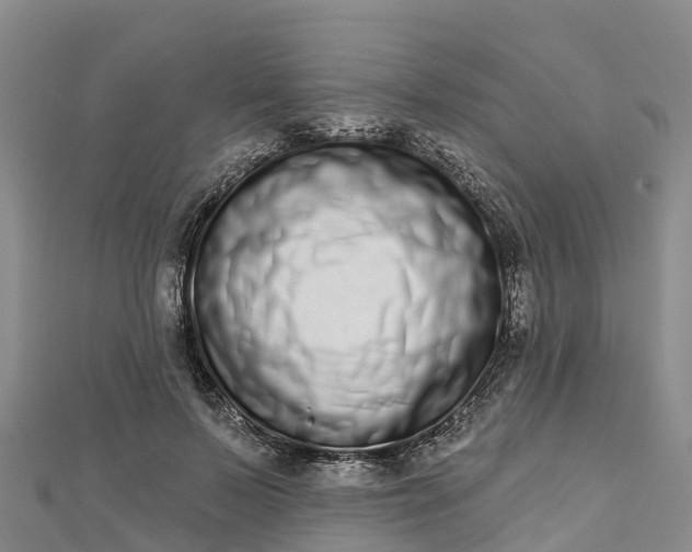 X0000112720695200909031417