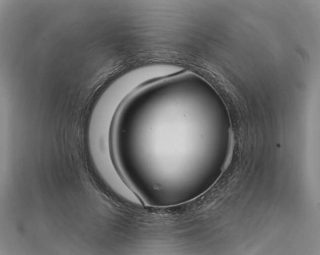 X0000112720696200909031417