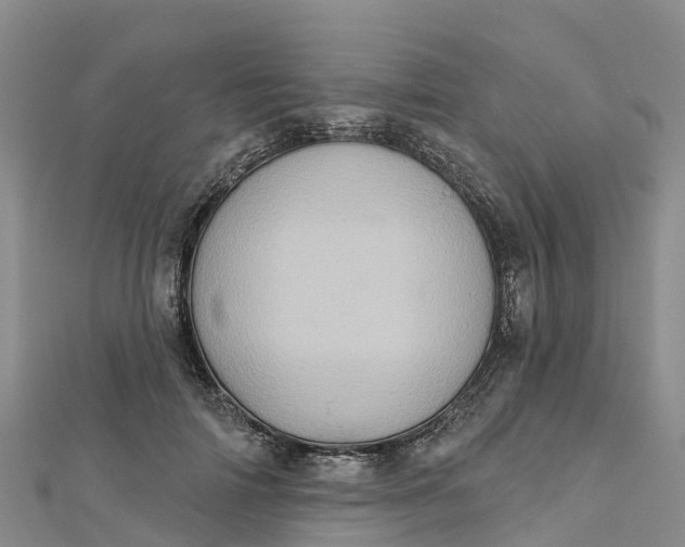 X0000112720698200909031417