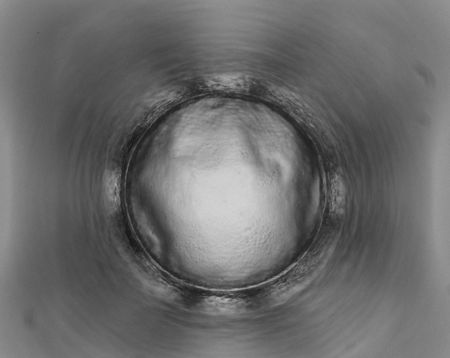 X0000112720699200909031417