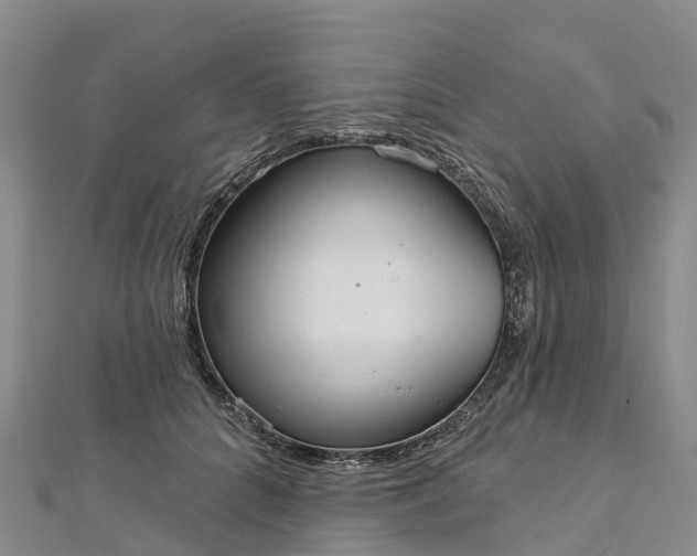 X0000112720704200909031417