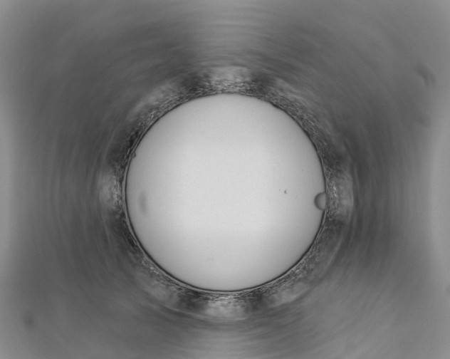 X0000112720705200909031417