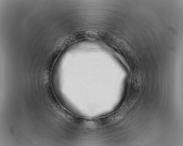 X0000112720706200909031417