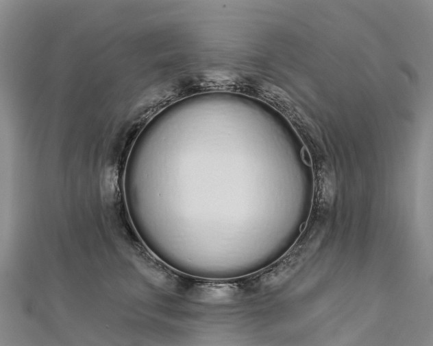 X0000112720711200909031417