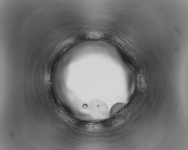 X0000112720714200909031417