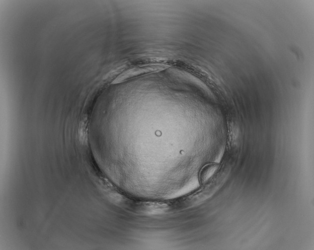 X0000112720719200909031417