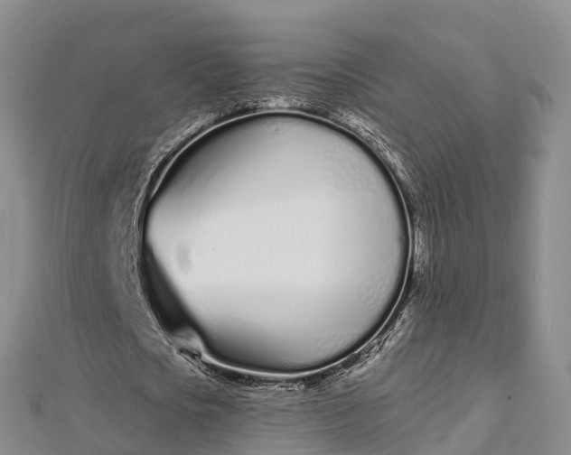 X0000112720721200909031416