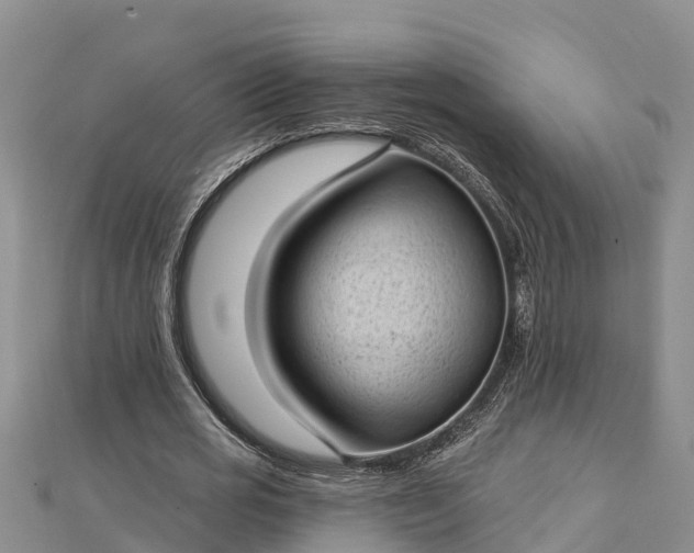 X0000112720725200909031416