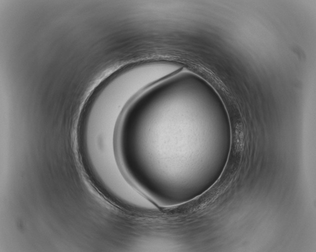 X0000112720726200909031416