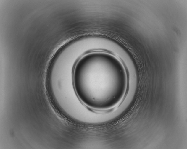 X0000112720728200909031416