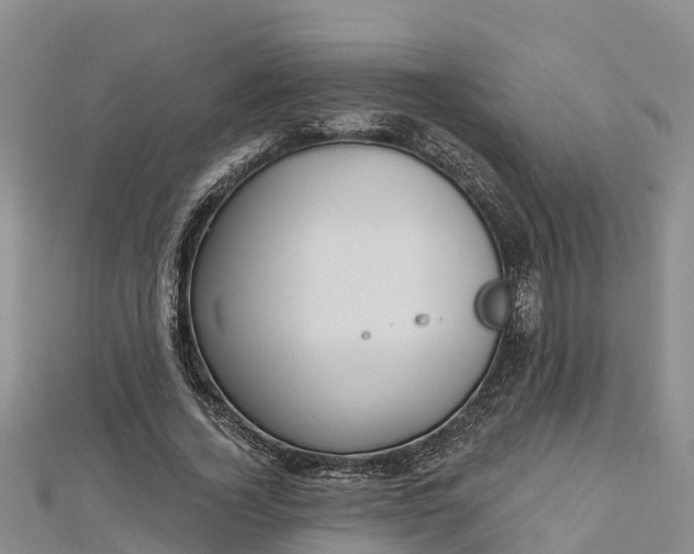 X0000112720732200909031416