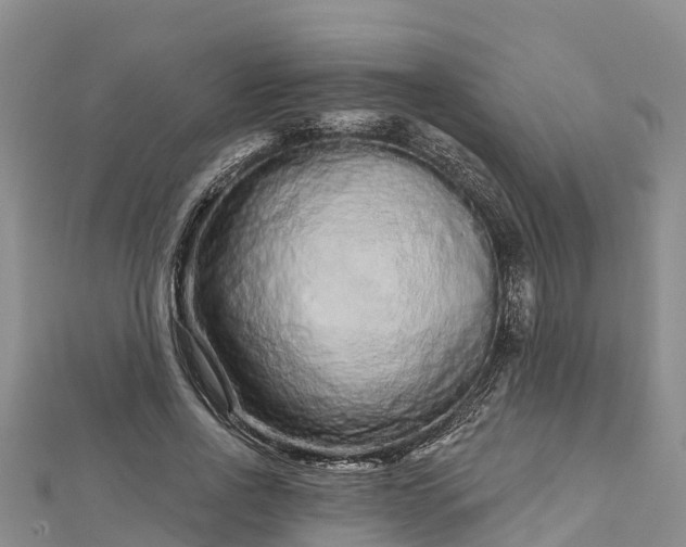 X0000112720734200909031416