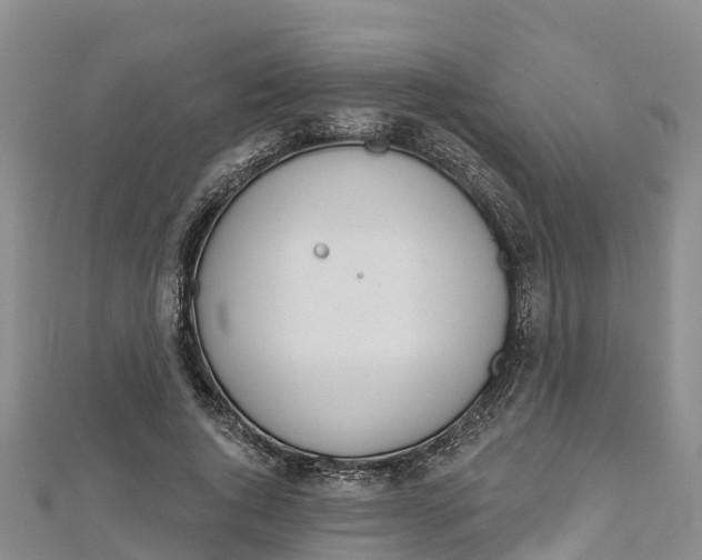 X0000112720736200909031416