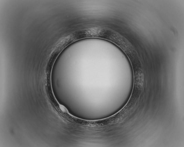 X0000112720738200909031416