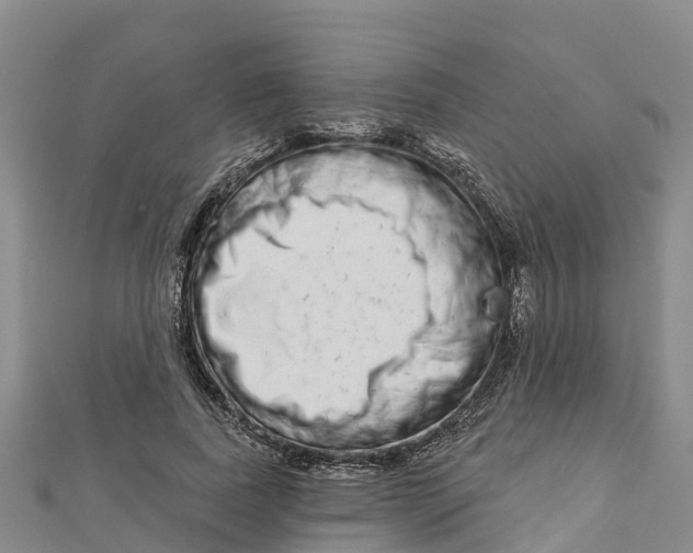 X0000112720739200909031416