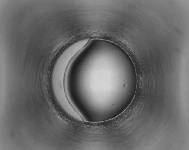 X0000112720740200909031416