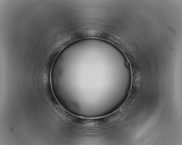 X0000112720746200909031416