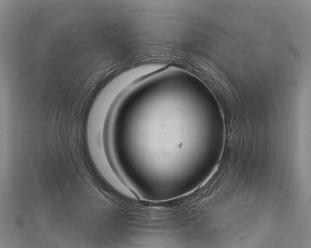 X0000112720748200909031416