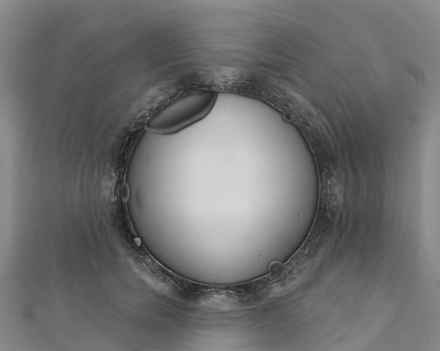 X0000112720750200909031417