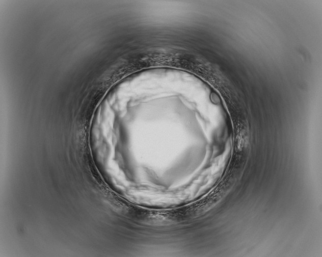 X0000112720753200909031417