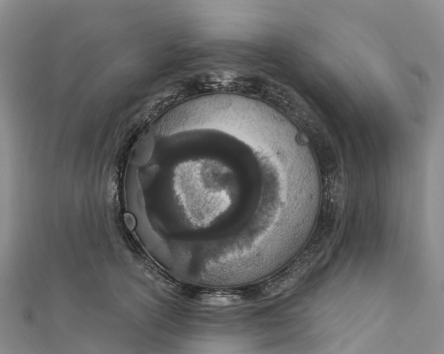 X0000112720754200909031417