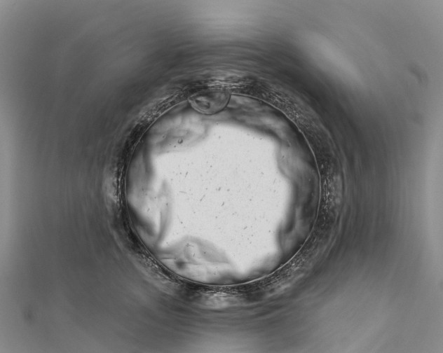 X0000112720755200909031417