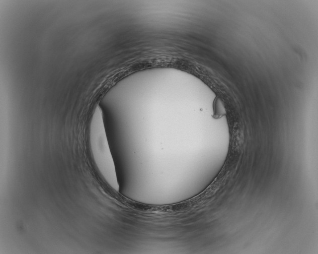 X0000112720756200909031417