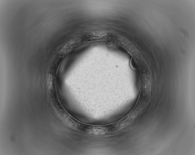 X0000112720758200909031417