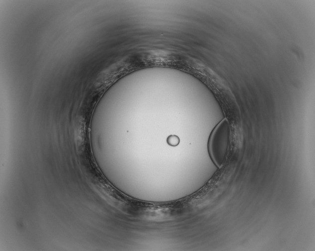 X0000112720760200909031417