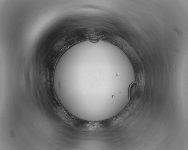 X0000112720762200909031417