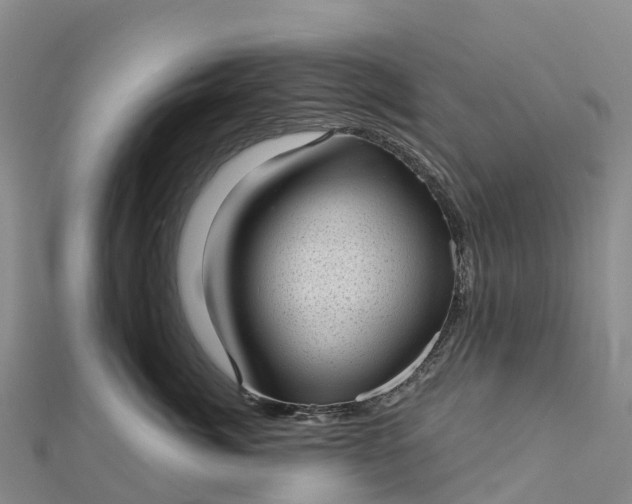 X0000112720764200909031417