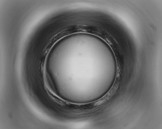 X0000112720765200909031417