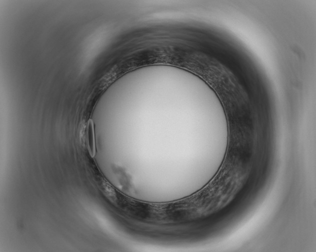 X0000112720766200909031417