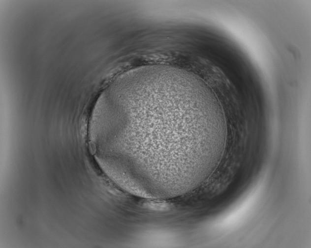 X0000112720767200909031417