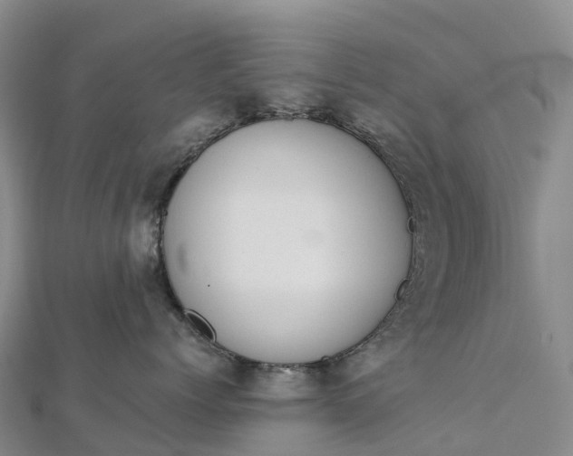 X0000112720768200909031417