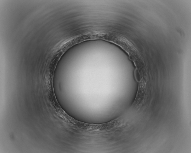 X0000112720773200909031416