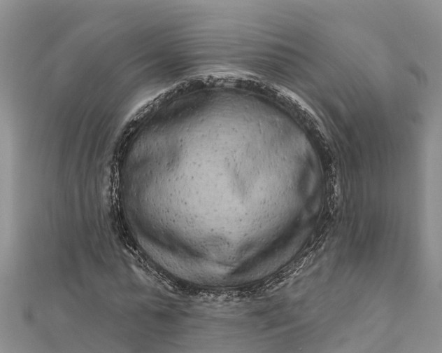 X0000112720775200909031416