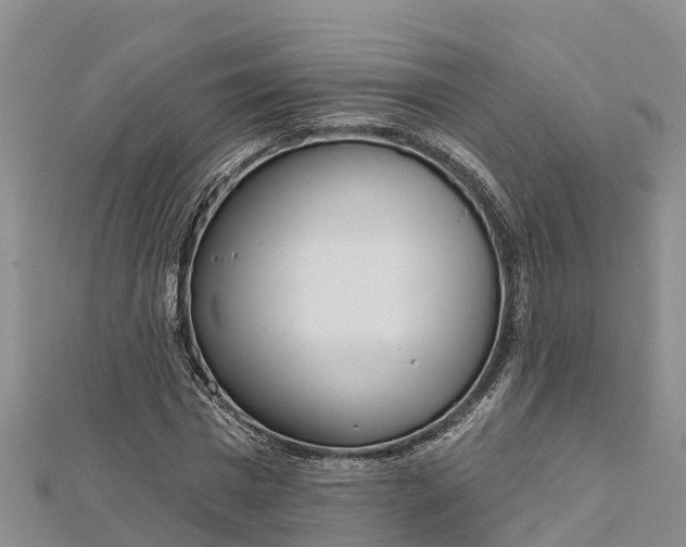 X0000112720777200909031416