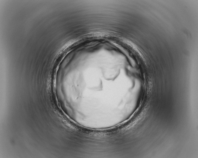 X0000112720778200909031416