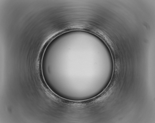 X0000112720779200909031416