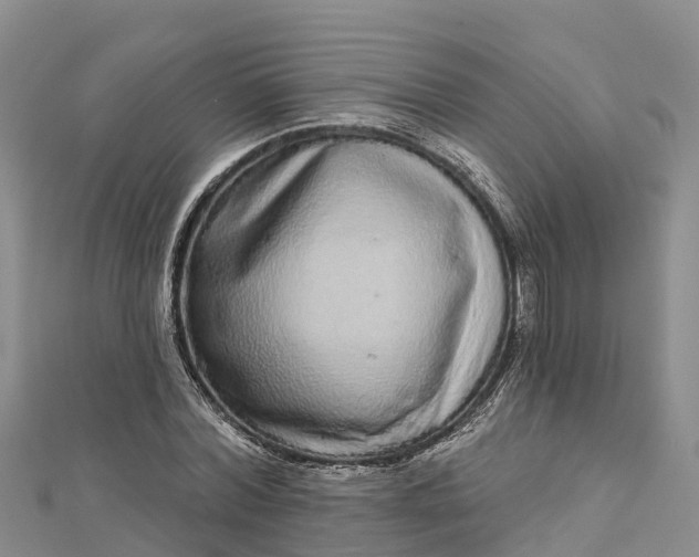 X0000112720780200909031416