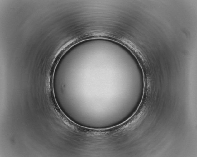 X0000112720782200909031416