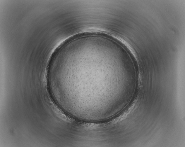 X0000112720783200909031416