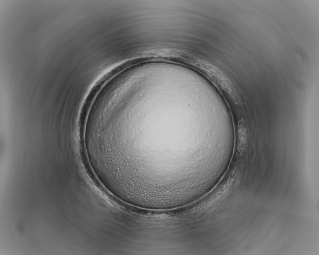 X0000112720784200909031416