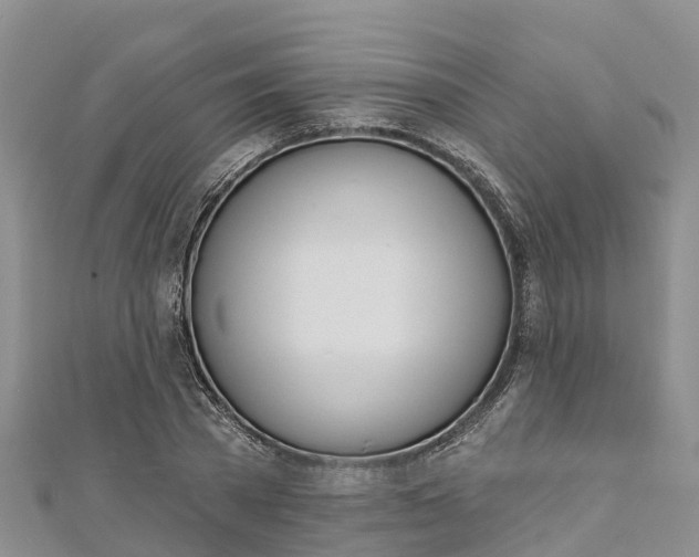 X0000112720785200909031416