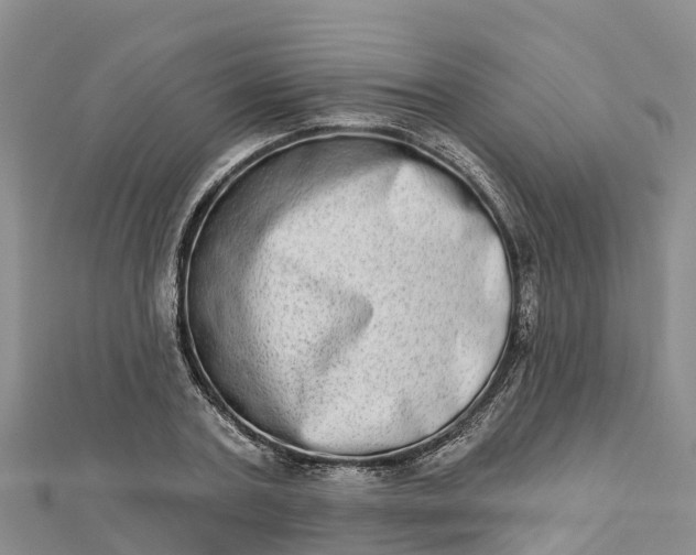 X0000112720787200909031416