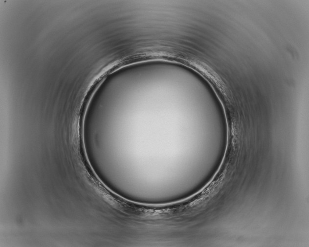 X0000112720790200909031416