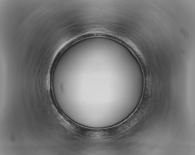 X0000112720791200909031416