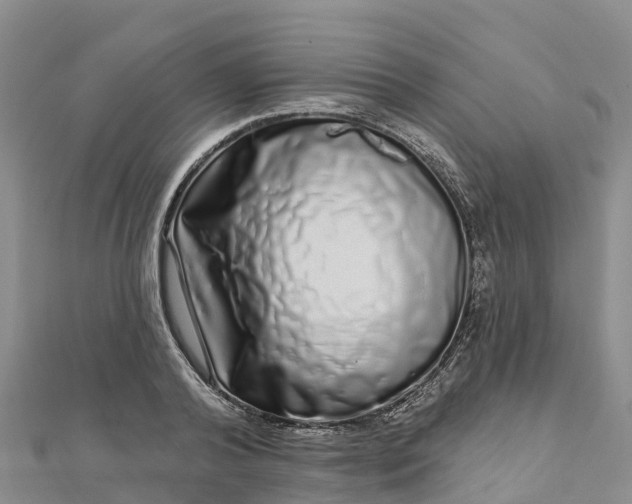 X0000112720792200909031416