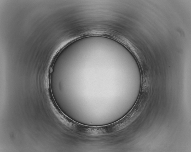 X0000112720795200909031416